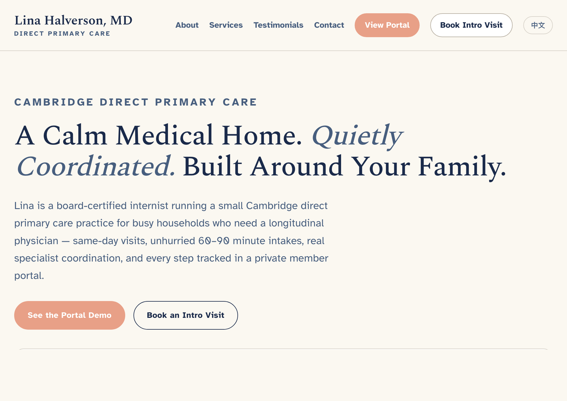Healthcare demo website preview.